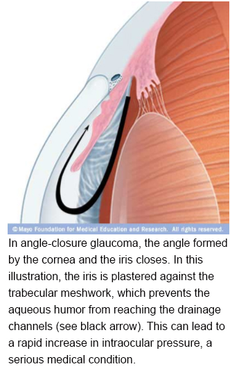 The Landow Atrium In The Gonda Building Mayo Clinic Atrium Mayo