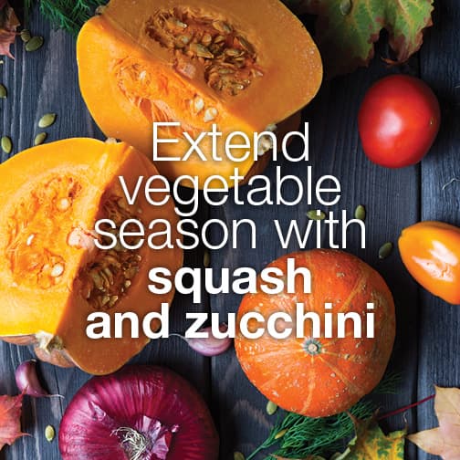 Squash and zucchini