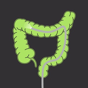 colon illustration