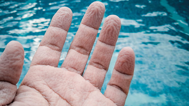 Fingers wrinkled by water