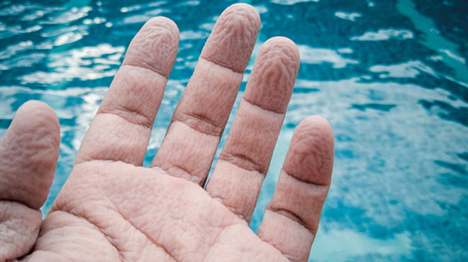 Fingers wrinkled by water