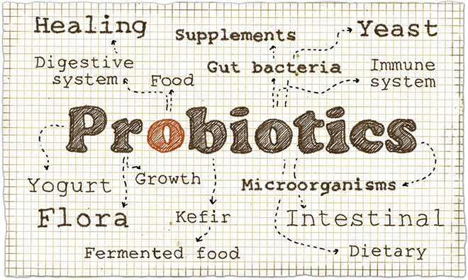 probiotyki-word-cloud