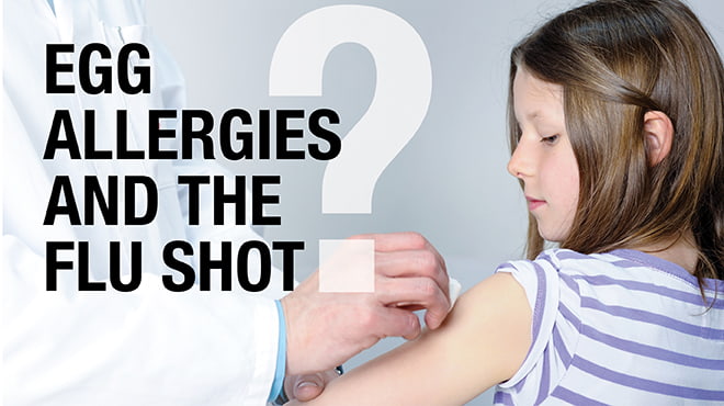 Egg Allergies and The Flu Shot
