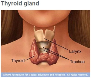 Thyroid disease: Symptoms, treatment - Mayo Clinic Health System