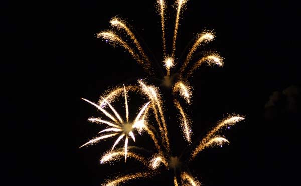 fireworks exploding in night sky landscape