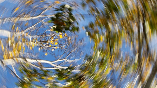 Spinning, bleary upward view of trees and sky