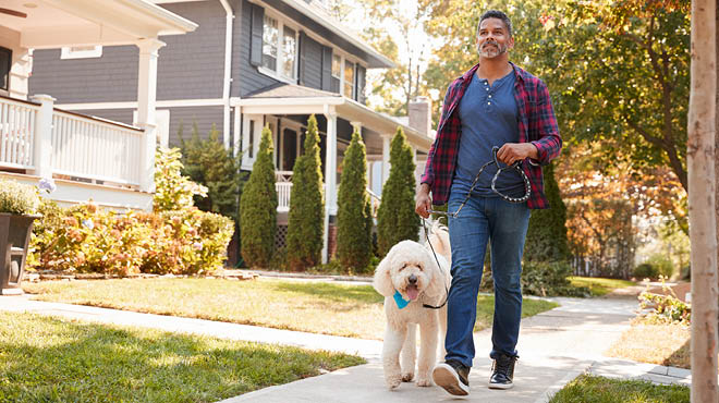 Walking dog on neighborhood sidewalk