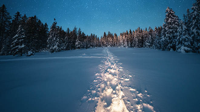 Winter night snow trail