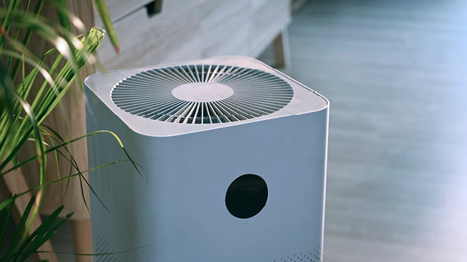 Where Does Dust Come From? How to Reduce Dust in Your House - Molekule