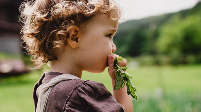 Toddler holding greens by mouth