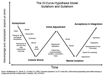 W Curve Hypothesis Model
