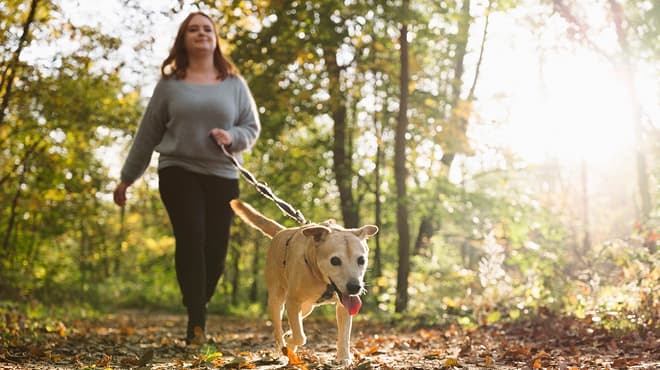 5 ideas to stroll for much better health and fitness