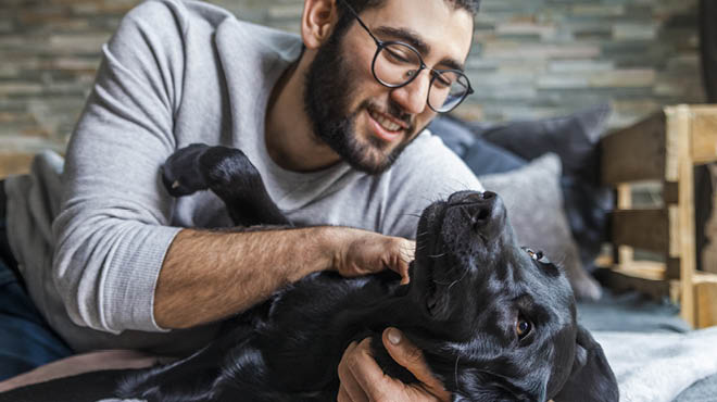 Adult petting black lab dog