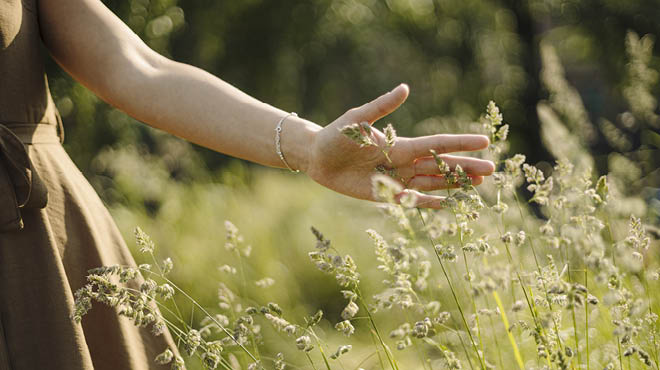 Hand touching plants in field