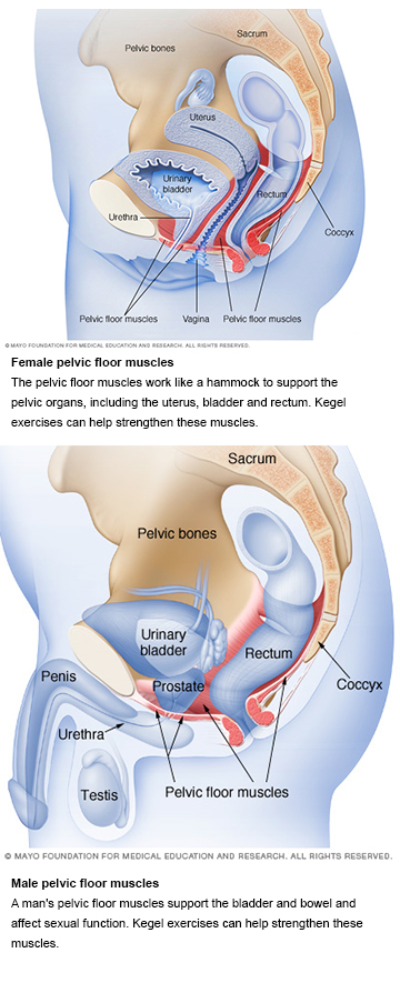 General Gynecology Cannon Falls Mayo Clinic Health System