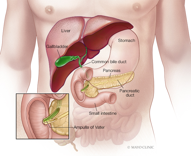 Pancreatitis